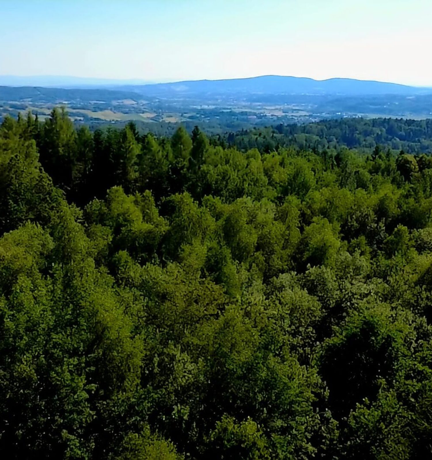 Panorama Pogórza Karpackiego z okolic Kameralnej Chaty